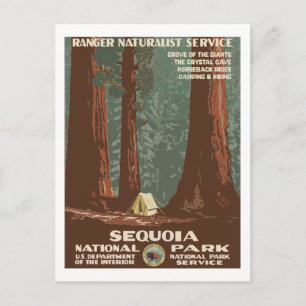 Sequoia National Park USA Vintage Travel Poster Postcard