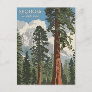 Sequoia National Park vintage Postcard