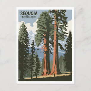 Sequoia National Park vintage Postcard