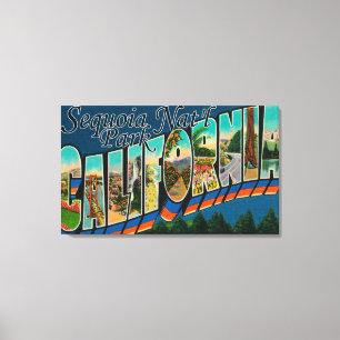 Sequoia Nat'l Park, California Canvas Print