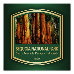 Sequoia NP (PF1) Poster