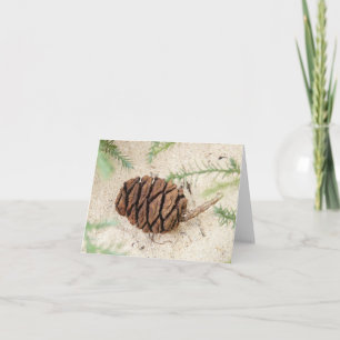 Sequoia Tree Cone on Sandy Ground Card