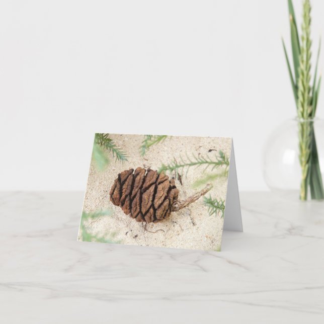 Sequoia Tree Cone on Sandy Ground Card (Front)