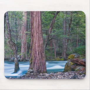 Sequoias & Merced River Yosemite National Park, CA Mouse Mat