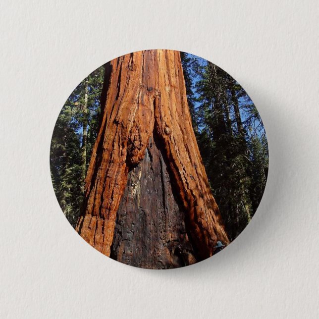 Sequoias Trees Giants Burned Bark 6 Cm Round Badge (Front)
