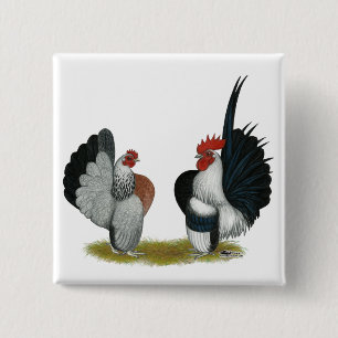 Serama Bantams 15 Cm Square Badge