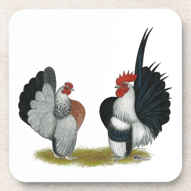 Serama Bantams Coaster (Front)