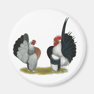 Serama Bantams Magnet