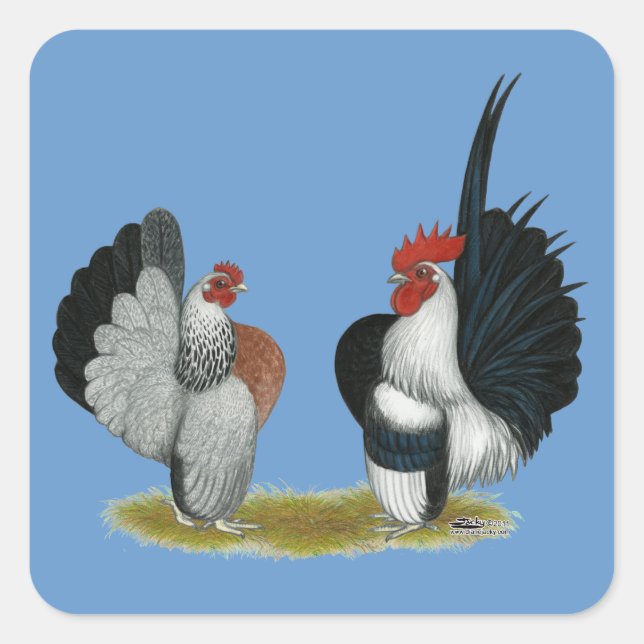 Serama Bantams Square Sticker (Front)