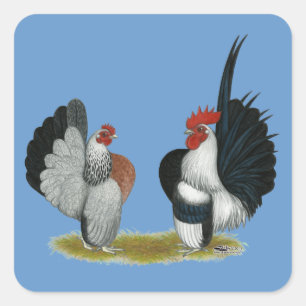 Serama Bantams Square Sticker
