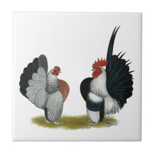 Serama Bantams Tile
