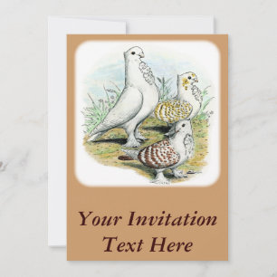 Seraphim Pigeons Invitation