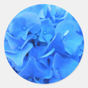 Seraphine Classic Round Sticker