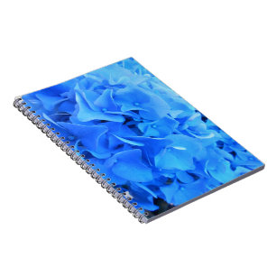 Seraphine Notebook