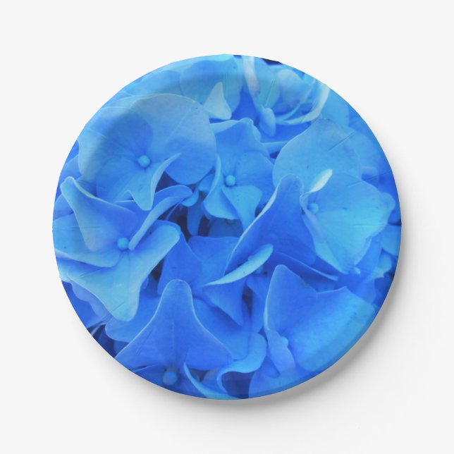 Seraphine Paper Plate (Front)