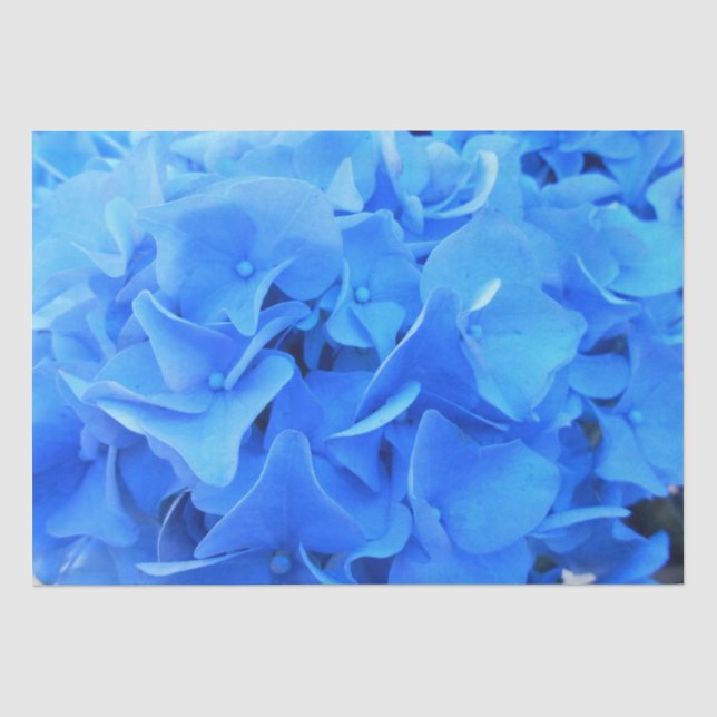 Seraphine Tissue Paper (Front)