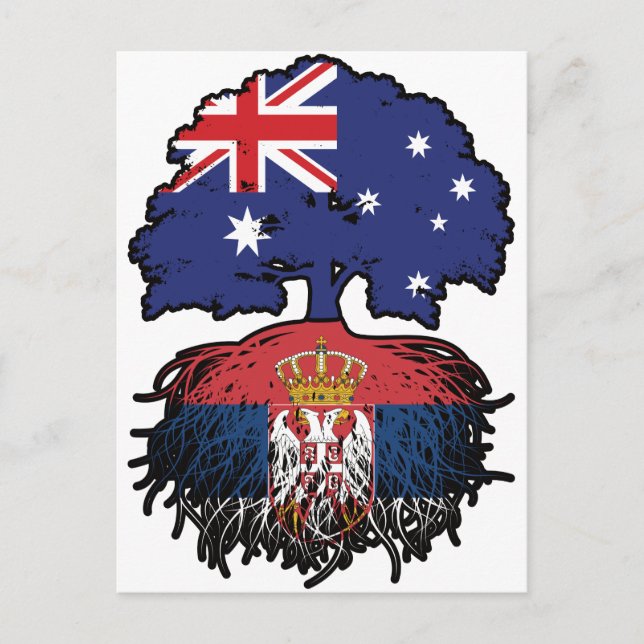Serbia Serbian Australian Australia Tree Roots Postcard (Front)