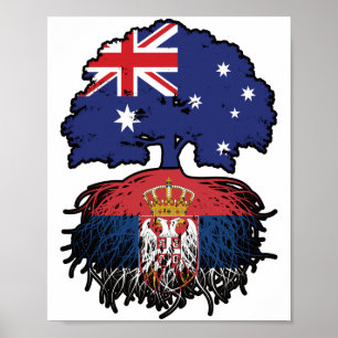 Serbia Serbian Australian Australia Tree Roots Poster