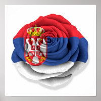 Serbian Rose Flag on White