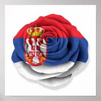 Serbian Rose Flag on White Poster