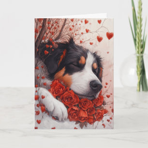 Serene Anatolian Shepherd Valentine's Day Card