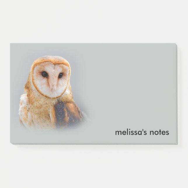 Serene Beautiful Barn Owl Raptor Bird of Prey Post-it Notes (Front)
