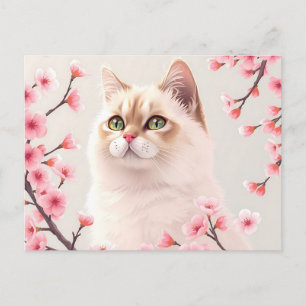 Serene Birman Cat Portrait With Cherry Blossoms  Postcard