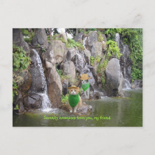 Serene Bubba Postcard