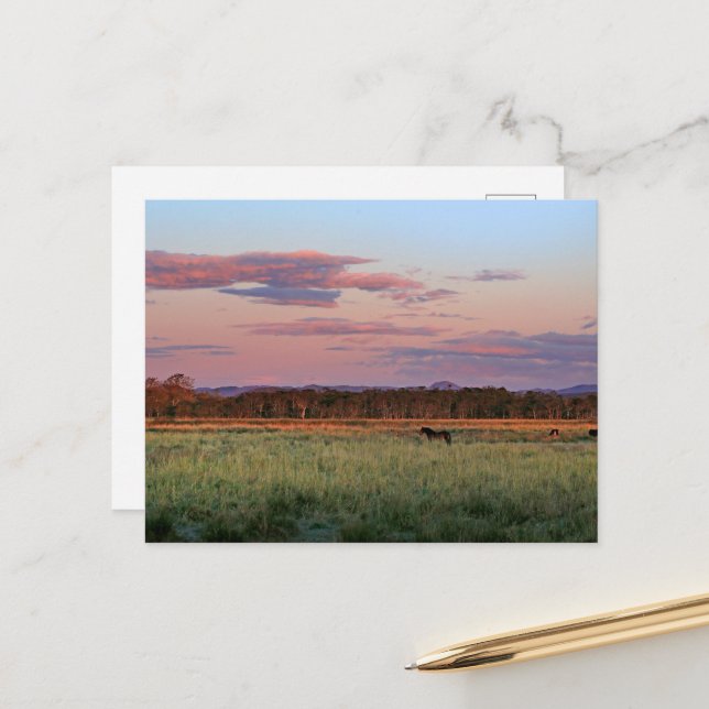 Serene Forest Meadow nature Postcard (Front/Back In Situ)