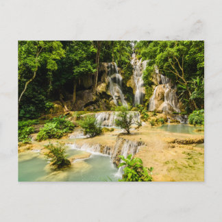 Serene Forest Waterfall Pools Postcard