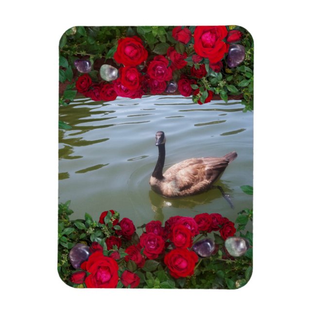 Serene Goose Of Wild Rose Pond Magnet (Vertical)