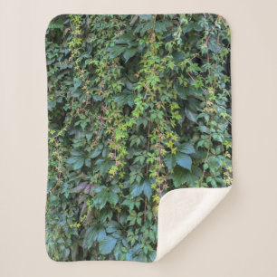 Serene Green Ivy Wall Hanging Vines Plant Leaves Sherpa Blanket