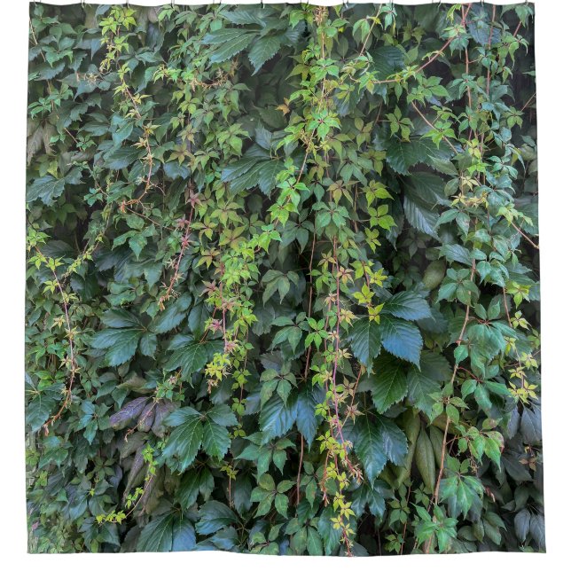 Serene Green Ivy Wall Hanging Vines Plant Leaves Shower Curtain (Front)