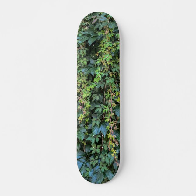 Serene Green Ivy Wall Hanging Vines Plant Leaves Skateboard (Front)