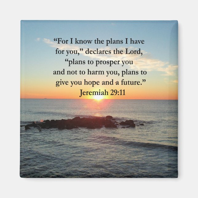 SERENE JEREMIAH 29:11 SUNRISE MAGNET (Front)
