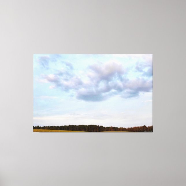 Serene Landscape with Cloudy Sky Canvas Print (Front)