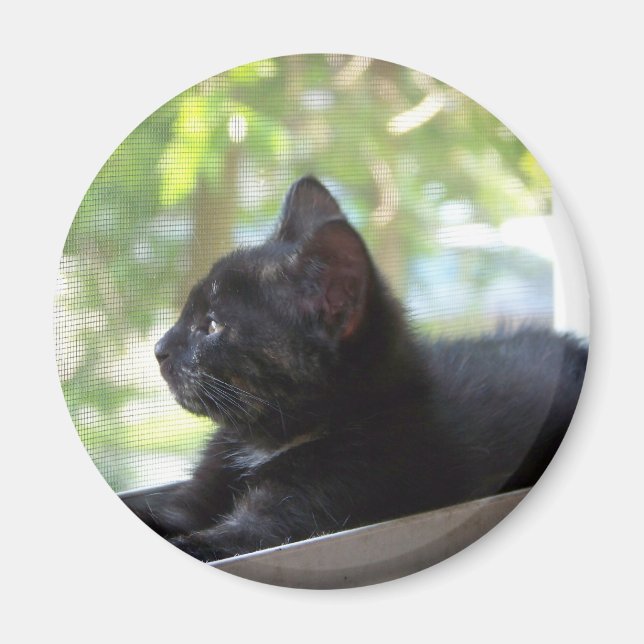 Serene Magnet (Front)