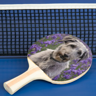 Serene Majesty: Wolfhound In Purple Iris Field, Ping Pong Paddle