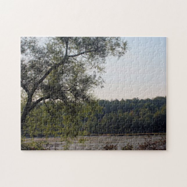 Serene Marsh And Tree Nature  Jigsaw Puzzle (Horizontal)