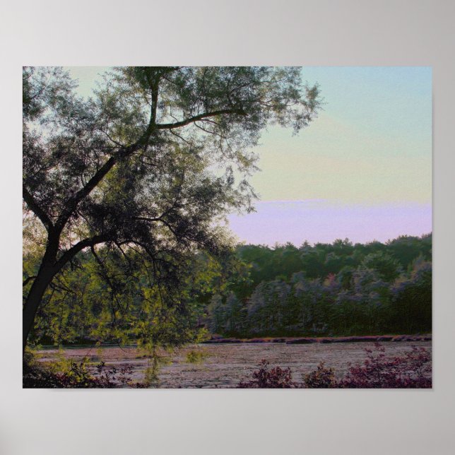 Serene Marsh And Tree Photo Effect Nature Poster (Front)