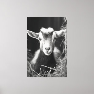 Serene Monochromatic Artistic Baby Goat Portrait Canvas Print