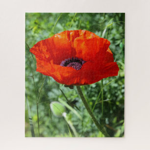Serene Nature Landscape Jigsaw Puzzle