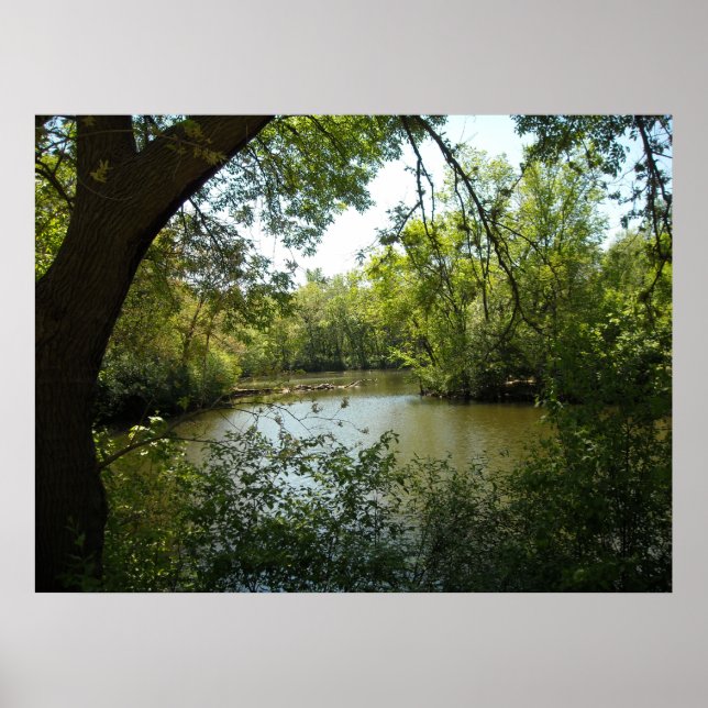 serene poster (Front)