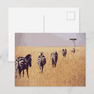 Serene Safari – Zebras in the Golden Grasslands Postcard