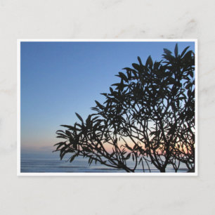 serene silhouette postcard