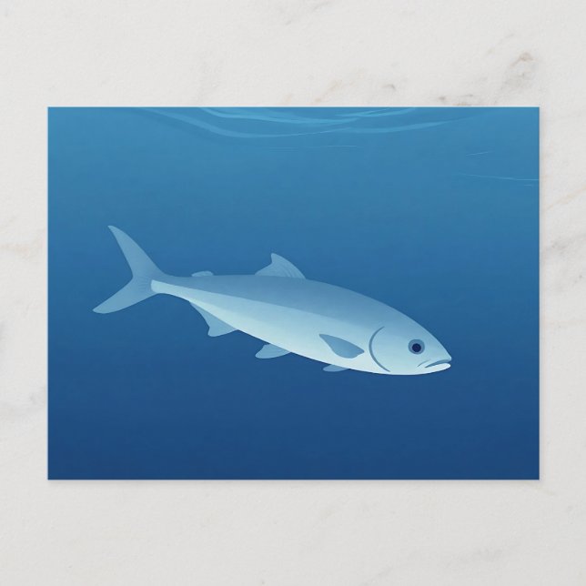 Serene Silver Fish Blue Ocean Postcard (Front)