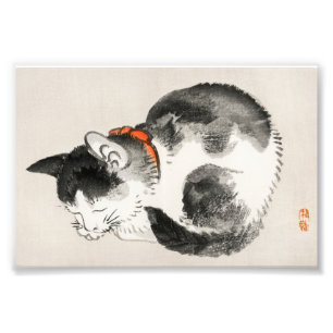 Serene Slumber: Sleeping Cat by Kōno Bairei Photo Print