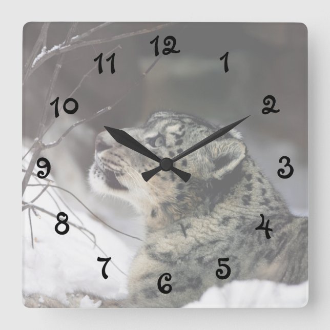 Serene Snow Leopard Square Wall Clock (Front)