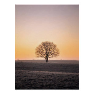 Serene Solitude: Winter Sunrise Lone Tree - Minima Poster