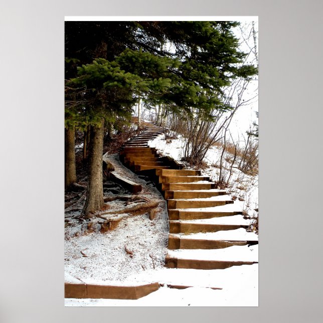 Serene Stairway Poster (Front)